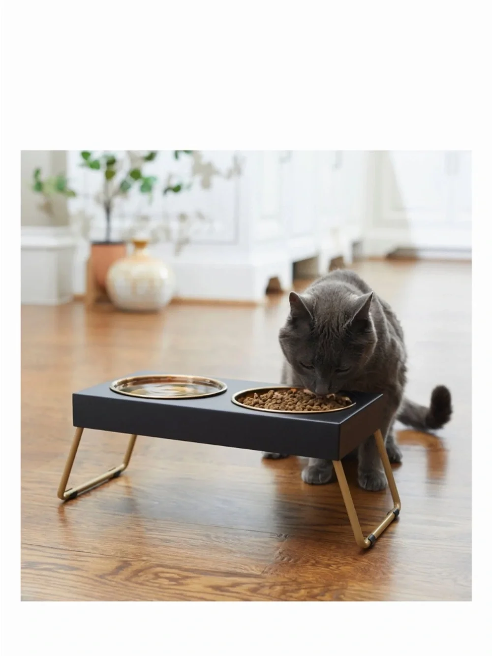 Elevated Foldable Pet Bowls